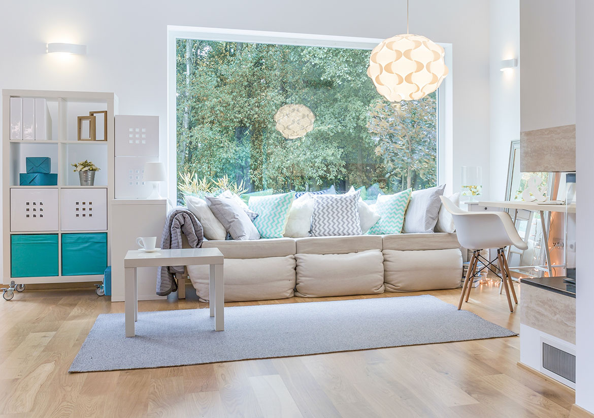 Pethouse apartment
