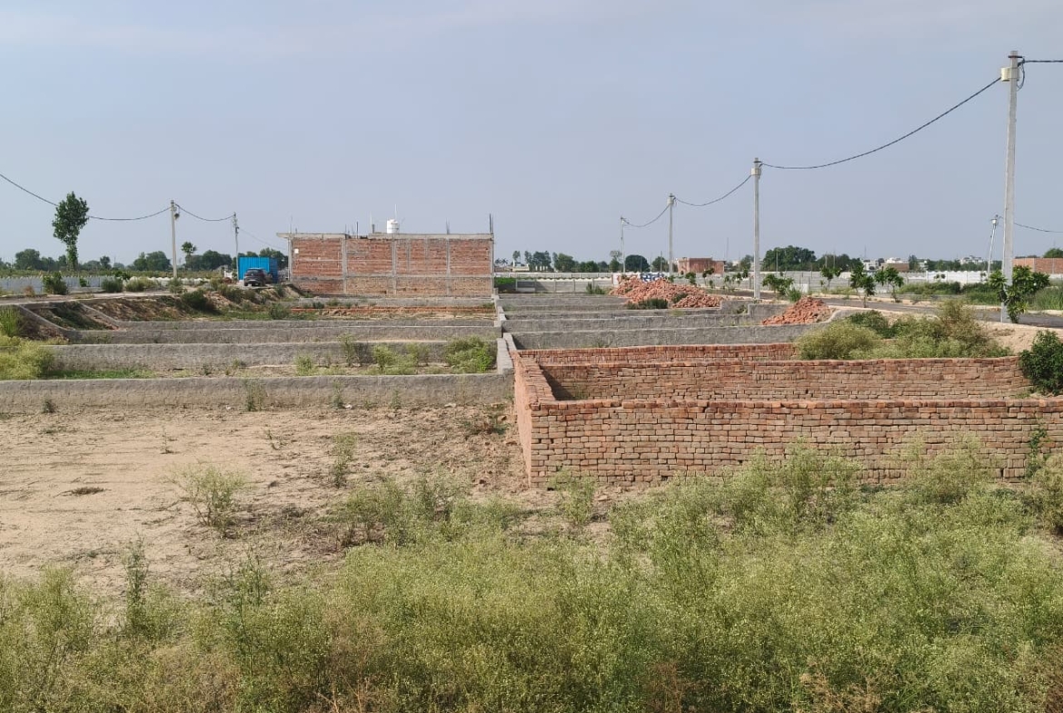 Golden City Plots