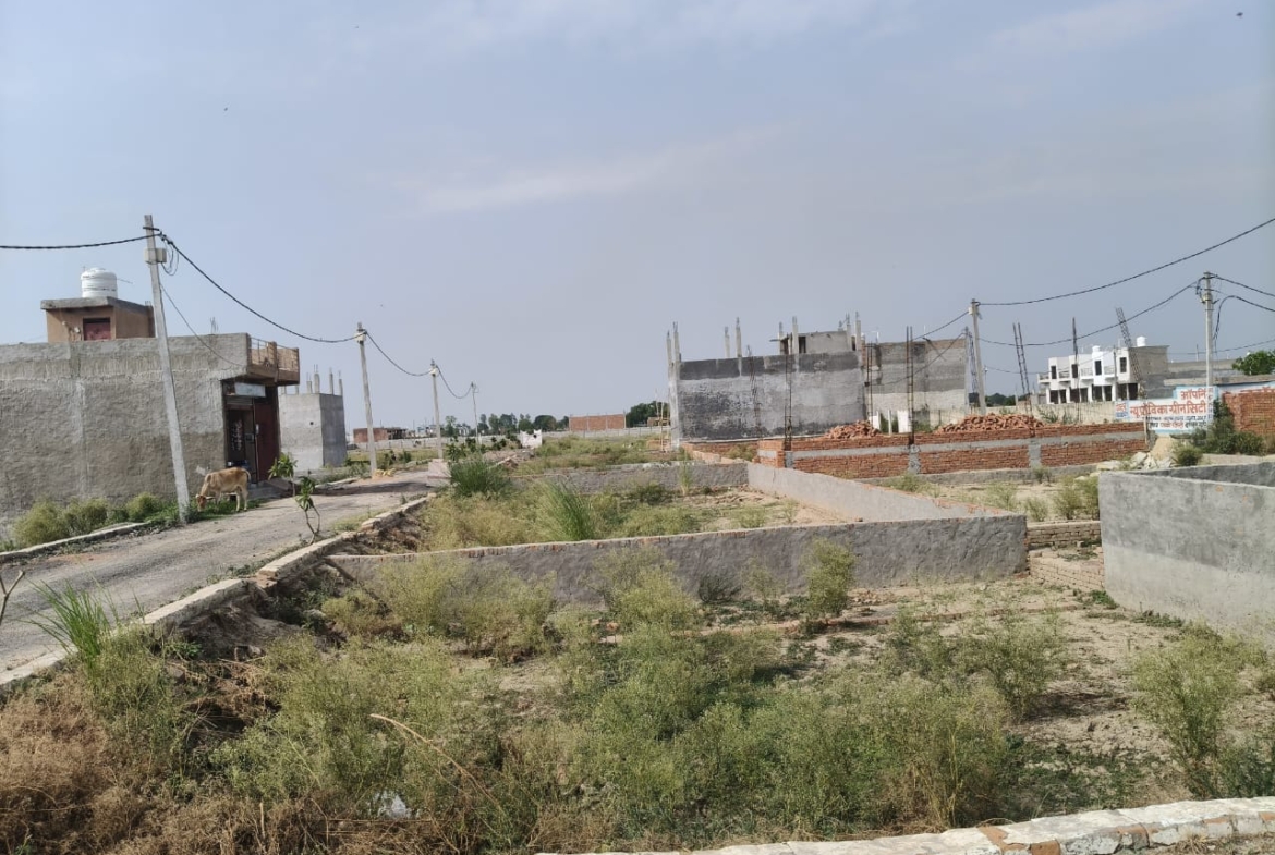 Golden City Plots