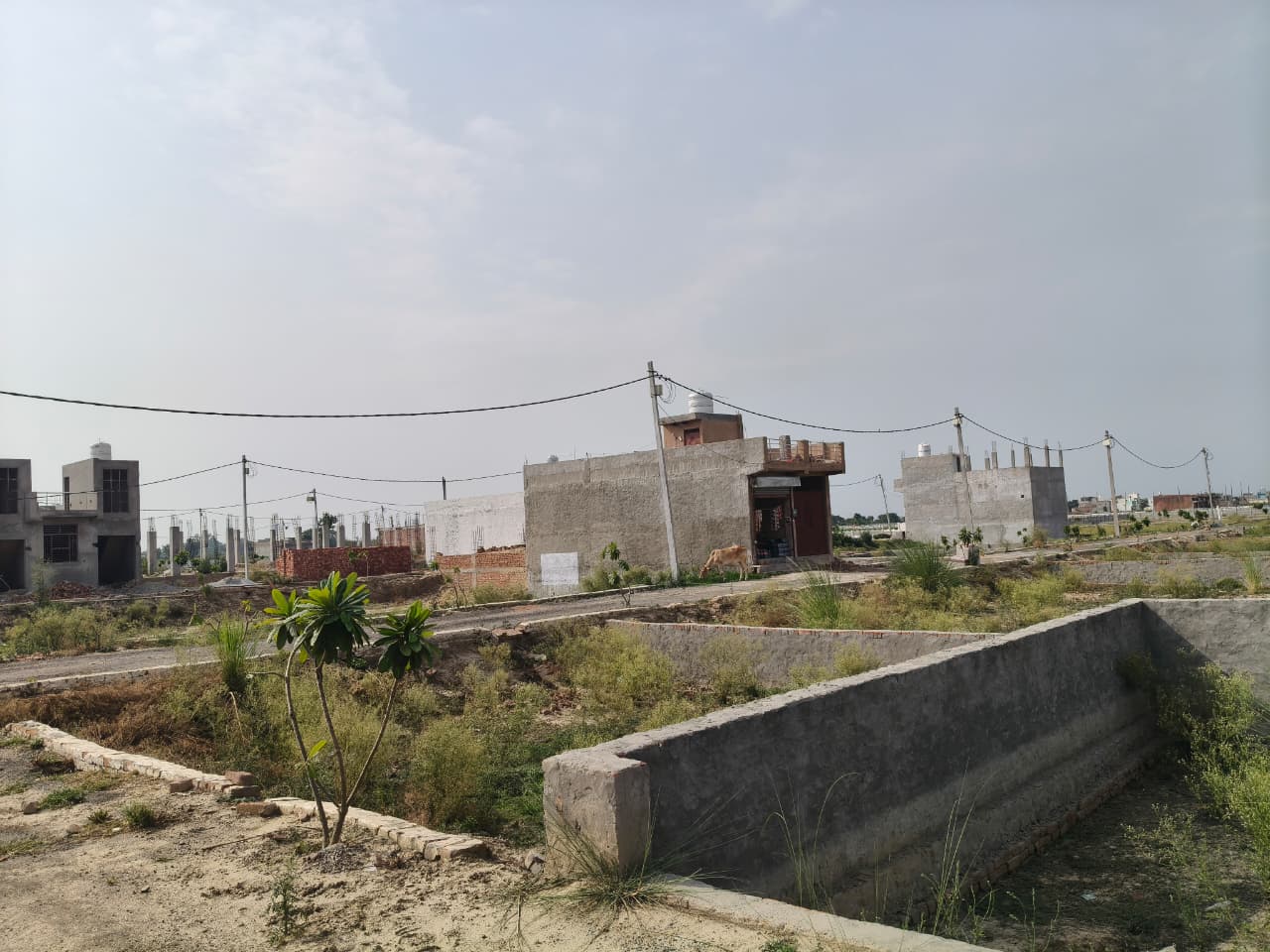 Golden City Plot at Badalpur